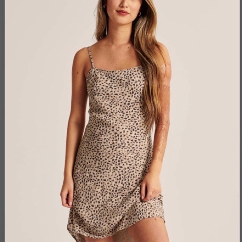Abercrombie and Finch Mini Dress